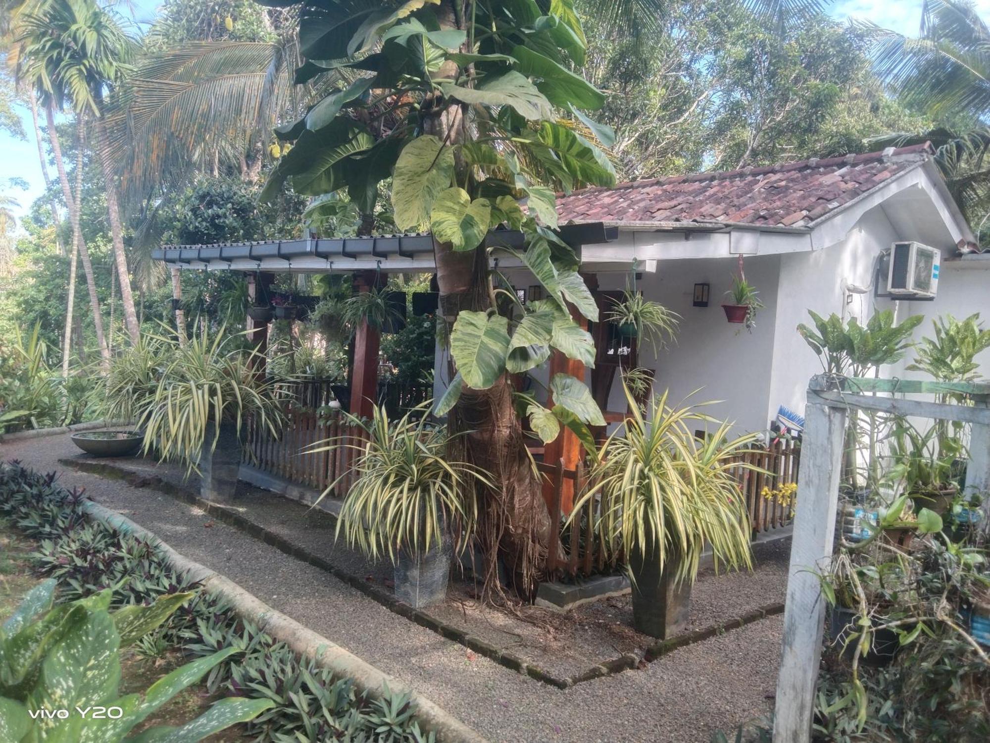Villa Lovers Matara